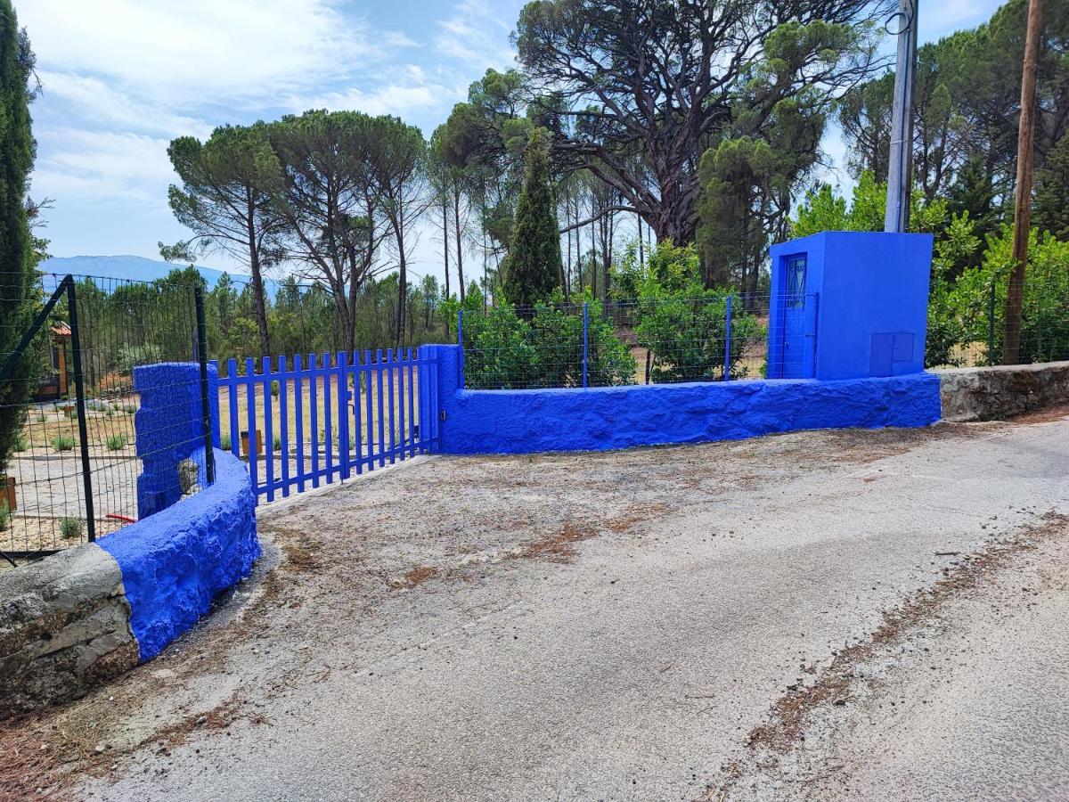 Casas Do Pinheiro Grande Villa Fornos de Algodres Bagian luar foto