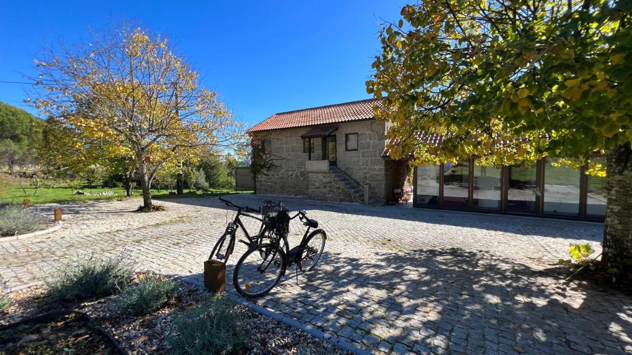 Casas Do Pinheiro Grande Villa Fornos de Algodres Bagian luar foto