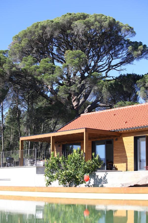 Casas Do Pinheiro Grande Villa Fornos de Algodres Bagian luar foto